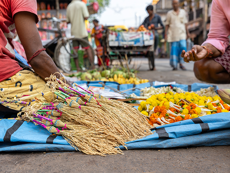 roteiros personalizados viagem india nova deli lgm viagens (3)